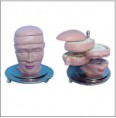 CABEÇA EM DISCO CORTE AXIAL